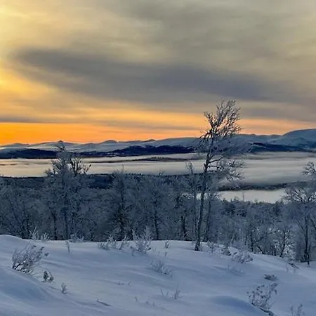 Mountain With Great Terrain Semesterbostad Vingelen
