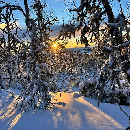 Semesterbostad Mountain With Great Terrain *