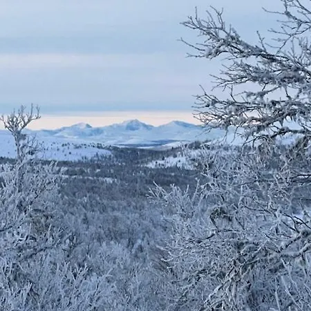 Semesterbostad Mountain With Great Terrain Vingelen