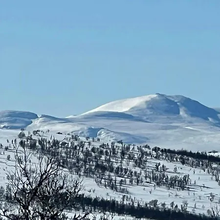 Mountain With Great Terrain Vingelen