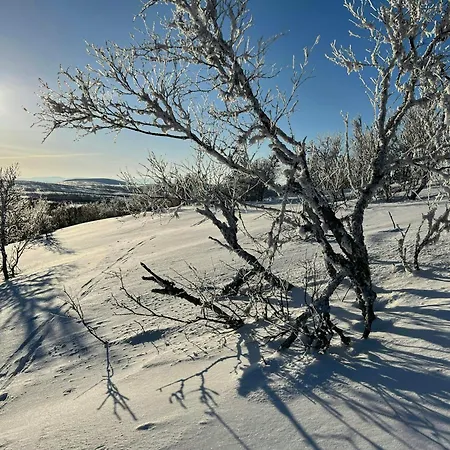 Mountain With Great Terrain Vingelen