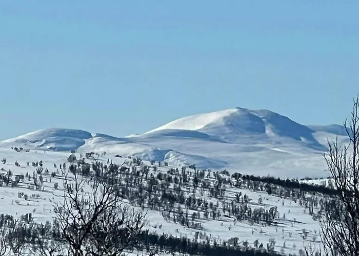 Mountain With Great Terrain Vingelen